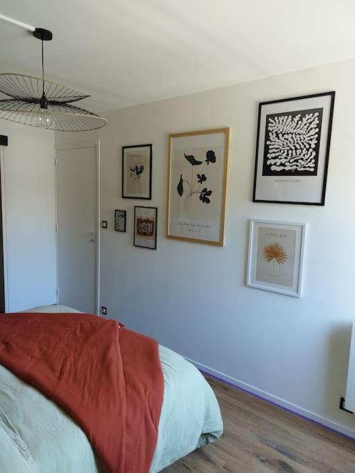 Appartement Au Coeur De Paimpol Zewnętrze zdjęcie